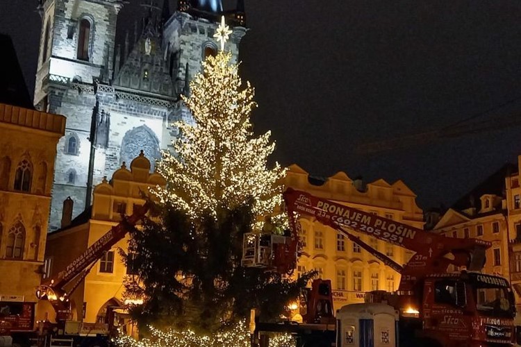 Až se Pražané ráno probudí, bude už vánoční strom zářit. Noční rozsvícení bude na videu