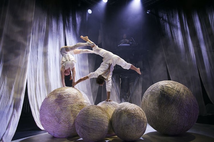 Cirkus Cirkör se opět zaplete s Letní Letnou. Švédští akrobaté pro festival v roce 2022 upraví hit Knitting Peace