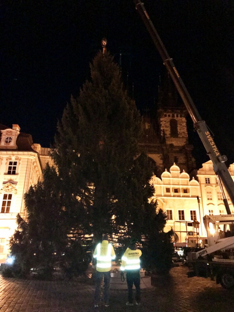 Vánoční strom na Staroměstském náměstí.