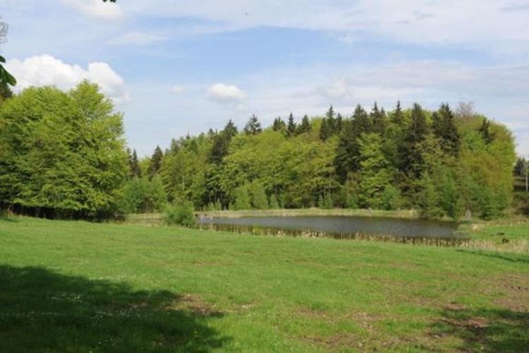 Kraj jedná s obcemi o lepší ochraně přírody Křivoklátska