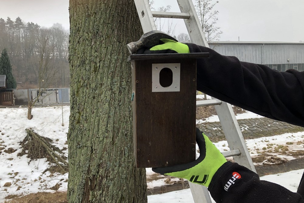 V těchto dnech probíhá instalace dalších ptačích budek. 