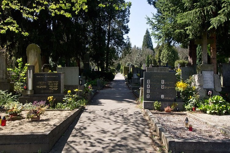 Ústřední hřbitov Brně 
