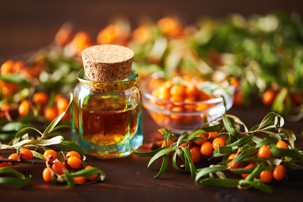 Pořádnou dávku vitamínu C v sobě skrývají oranžové bobule rakytníku. 