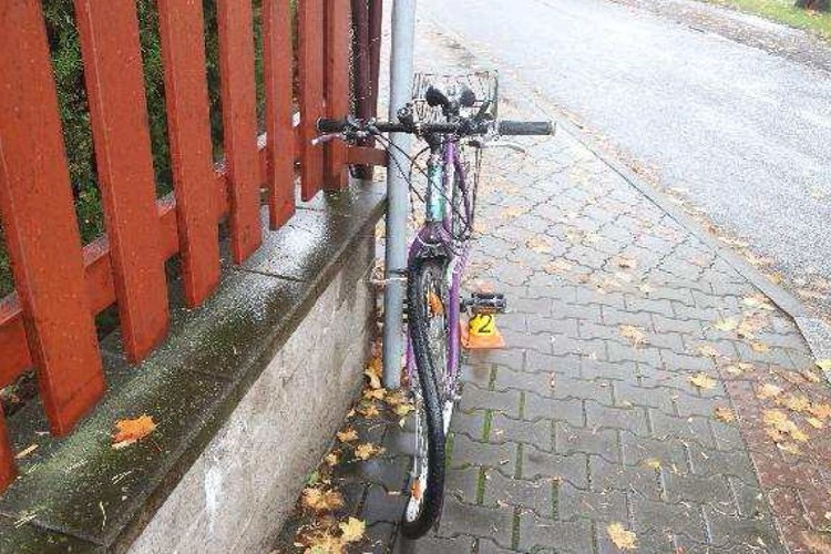 Policisté hledají svědky nehody v  Dobré