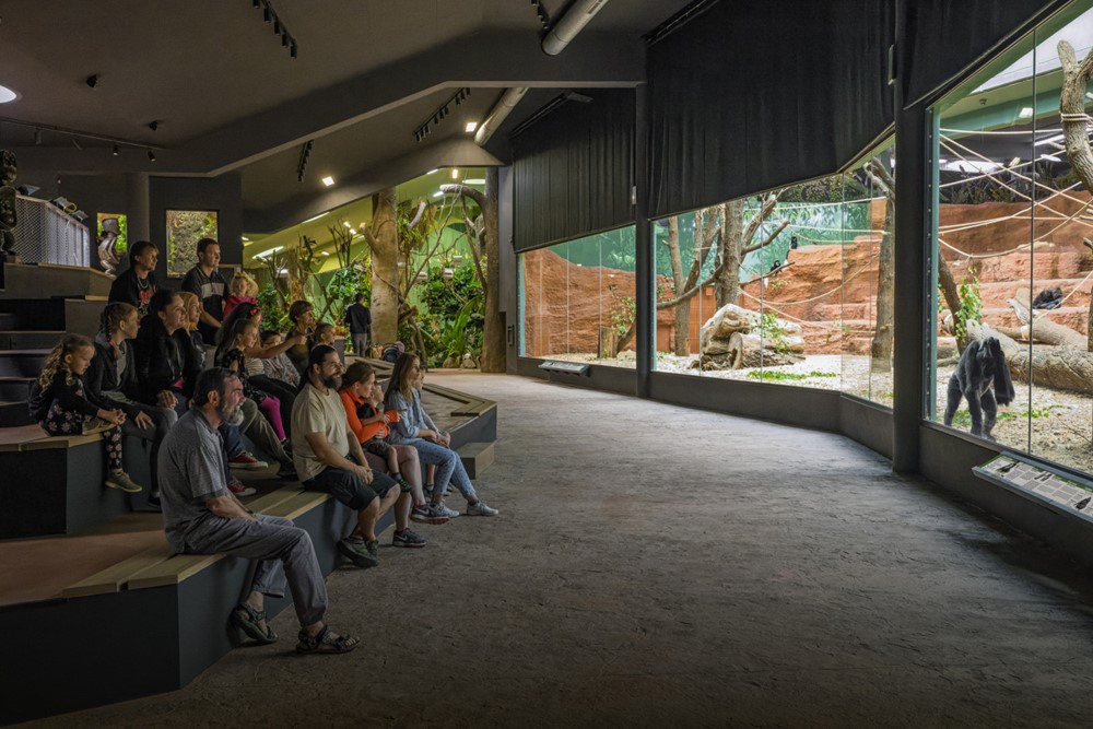 Nový pavilon goril Zoo Praha – Rezervace Dja – bude mít pro velký zájem veřejnosti dočasně prodlouženou otevírací dobu do 20 hodin. 