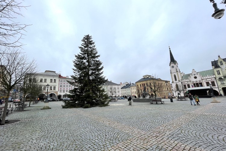 Vánoční dominantou Krakonošova náměstí je jedle obrovská