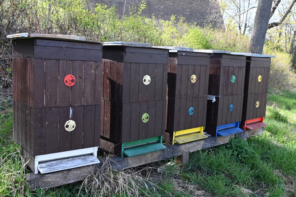 V parku na Špilberku byl zahájen projekt participativního rozpočtu Včely do Brna. 