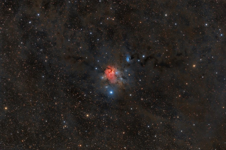 Titul Česká astrofotografie měsíce za březen 2022 získal snímek NGC 1579 - Trifid severu a okolí