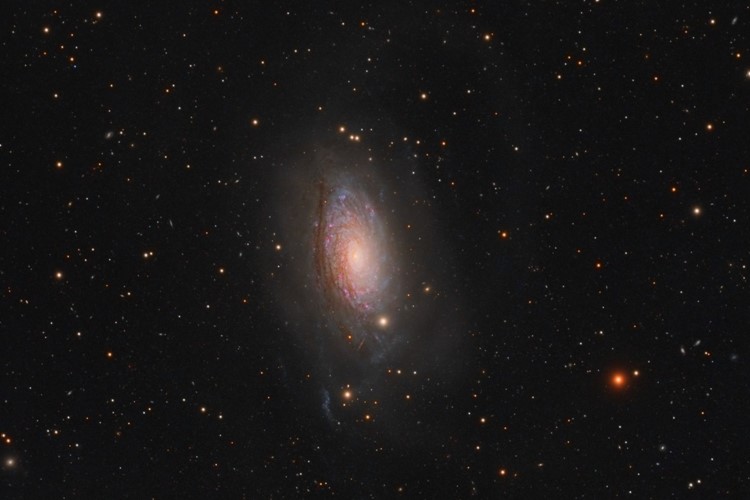 Titul Česká astrofotografie měsíce za květen 2022 získal snímek  „M 63“