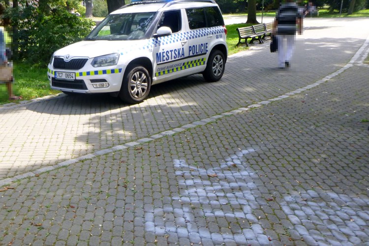 Malířské plátno zaměnil za dlažbu v parku, trestu neujde