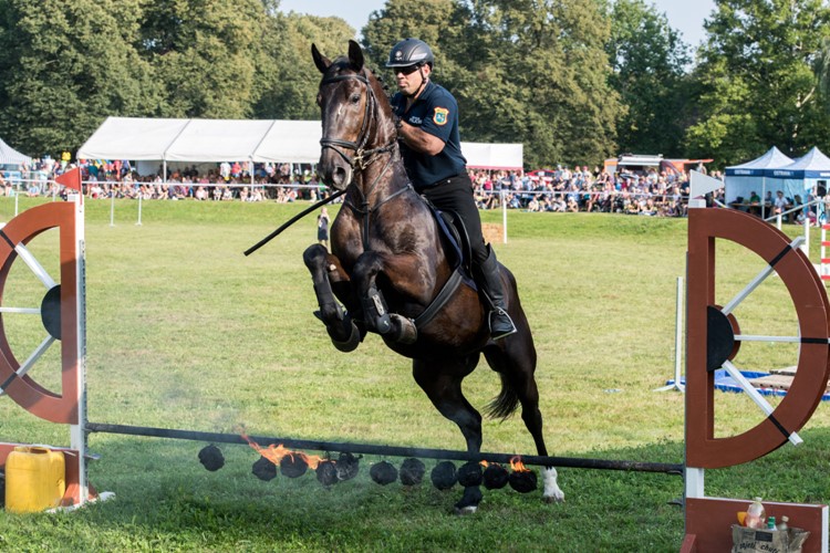 Mezinárodní setkání jízdních policií proběhne letos opět v Ostravě