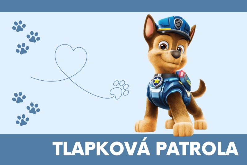 Párty pro děti - Ve stylu tlapkové patroly