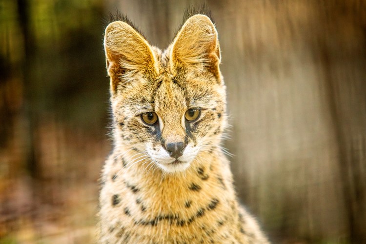 Mimo sezónu levněji do Zoo Ostrava