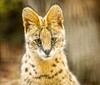 Mimo sezónu levněji do Zoo Ostrava