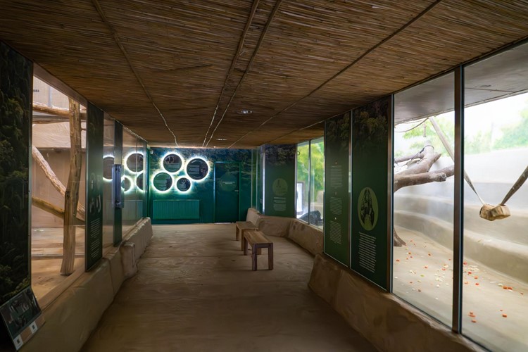 Pavilon opic v liberecké zoo se opět otevřel návštěvníkům. Prošel částečnou rekonstrukcí