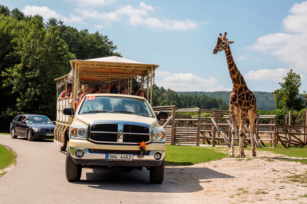 Afrika truck v safari ve Dvoře Králové nad Labem.