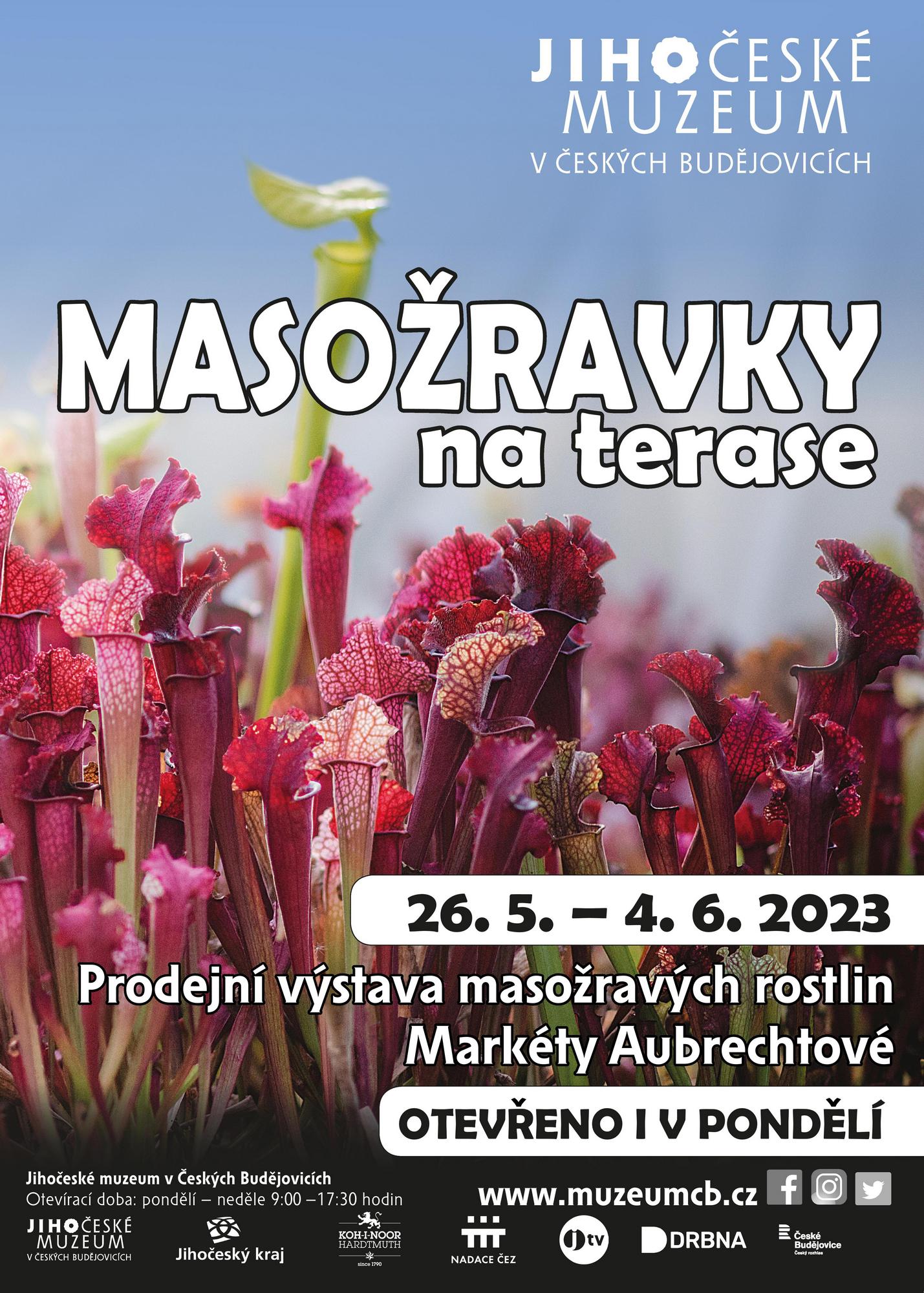 Masožravky na terase