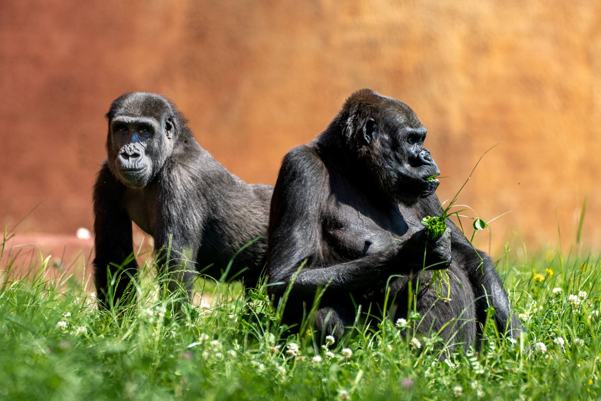 Zoo Praha