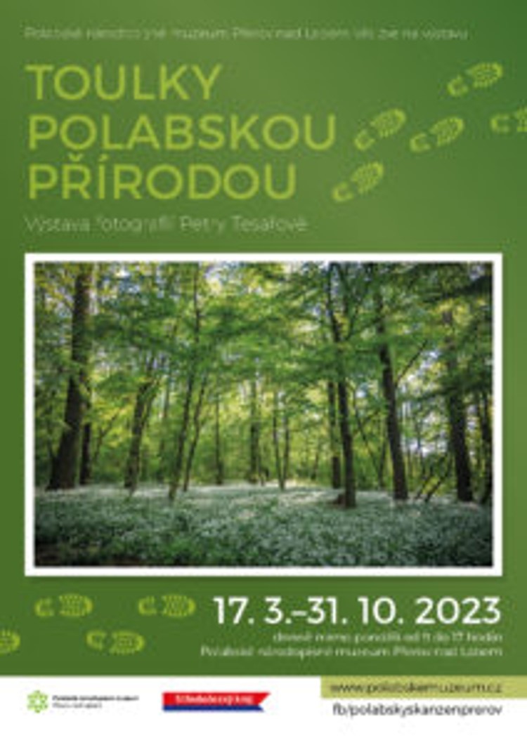 Výstava představuje půvaby tajuplných zákoutí polabské přírody