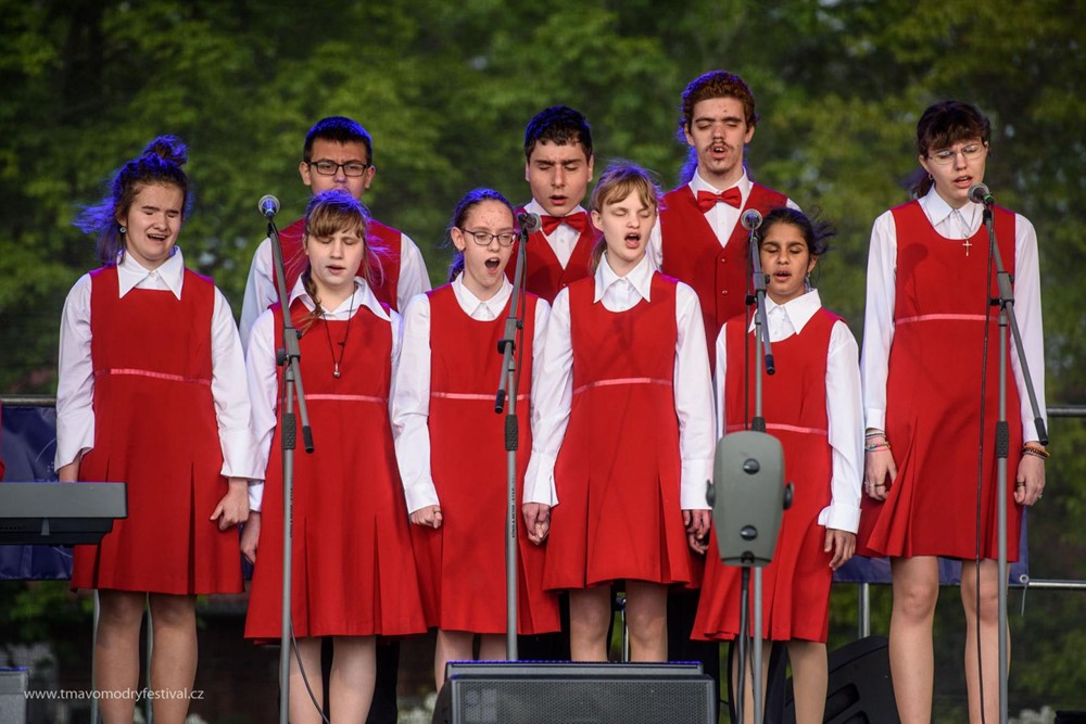 Festival patří dětem a mládeži, které se na místo zraku nechávají vést hudbou