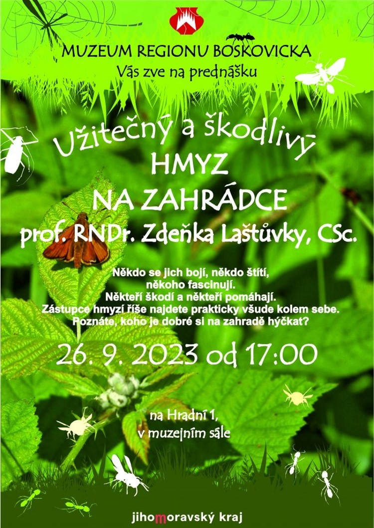 Užitečný a škodlivý hmyz na zahrádce