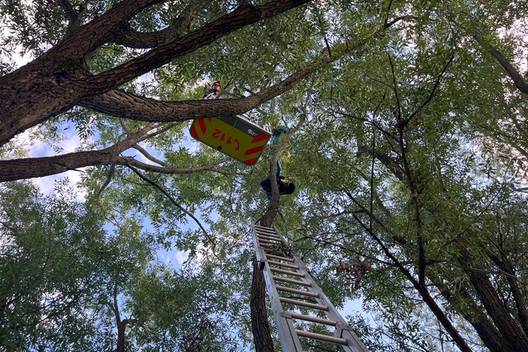 Hasiči v Ostravici zachránili paraglidistku, uvázla na stromě