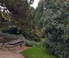 Nové lavičky v botanické nabídnou paletu barev i vůni pryskyřice