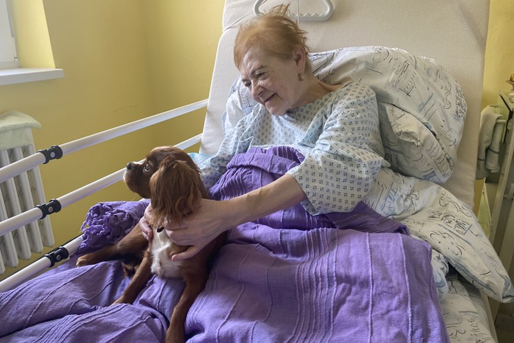 Po felinoterapii zavádí Nemocnice AGEL Ostrava-Vítkovice na Oddělení následné péče  Goldie a Šmoulinka si rychle získaly srdce pacientů