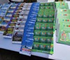 Euroregion Praděd láká návštěvníky k objevování krás Jeseníků
