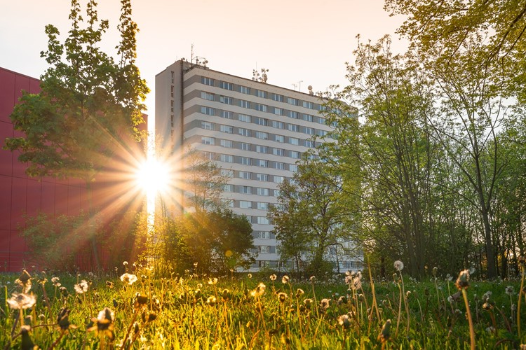 Univerzita Pardubice obhájila certifikát HR Award 