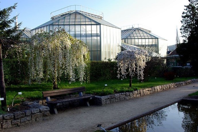 Botanická zahrada Liberec 