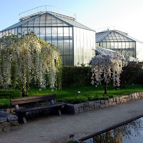 Botanická zahrada Liberec 