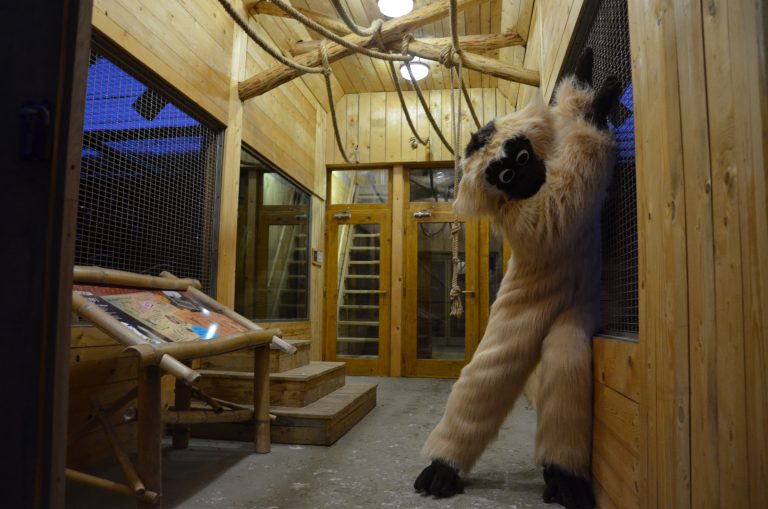 Večerní zoo