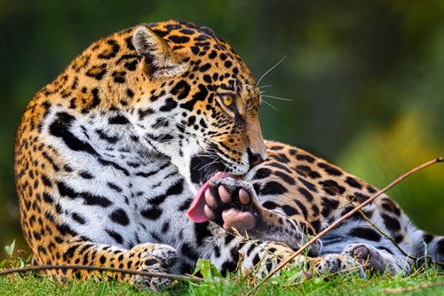 Zoo Zlín zve na podzimní návštěvu za výrazně zvýhodněné vstupné, na víkend připravuje speciální překvapení