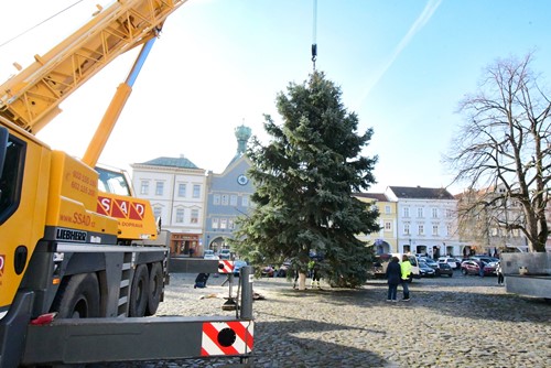 Mírové náměstí už zdobí vánoční strom