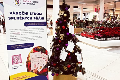Galerii Šantovku zdobí vánoční strom splněných přání