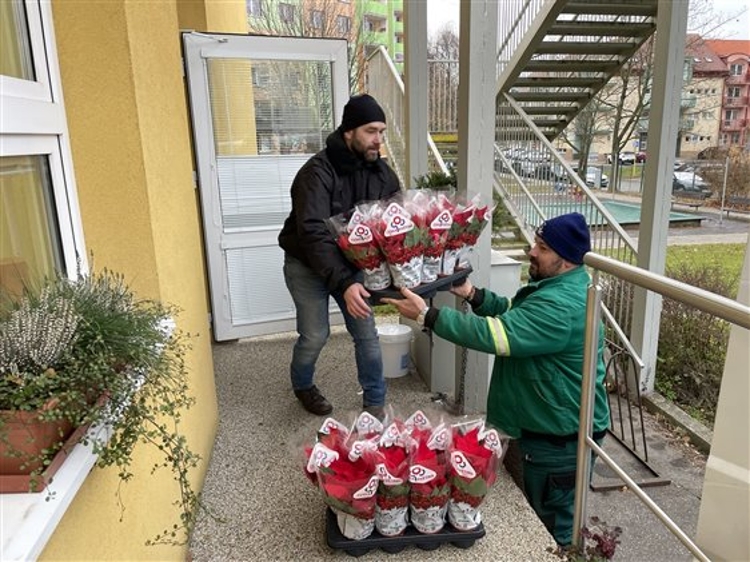 Vánoční hvězdy opět pomáhaly, radost udělaly na radnici, ve školách i školkách