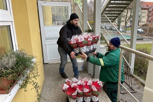 Vánoční hvězdy opět pomáhaly, radost udělaly na radnici, ve školách i školkách