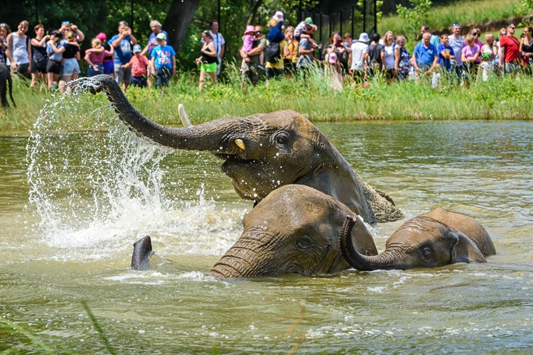 Zoo Zlín zve na návštěvu, každý pátek v září a říjnu nabídne jednotné vstupné za 100 Kč