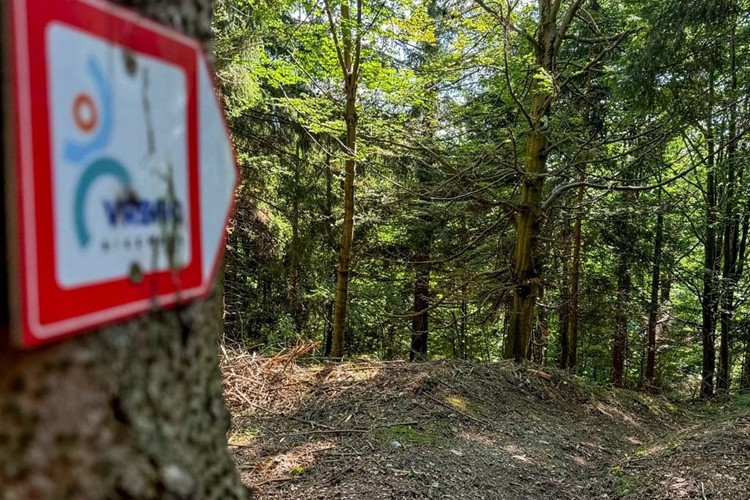 Červený trail vrbenského bikeparku je dočasně nesjízdný