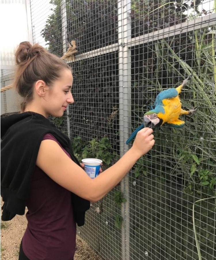 Během zážitkových programů v táborské zoo se ke zvířatům dostanete opravdu velmi blízko.