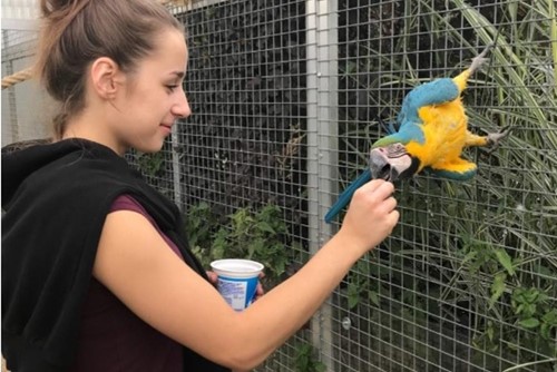Nechte se probudit zvuky exotických zvířat, nakrmte velké šelmy. Táborská zoo nabízí nezapomenutelné zážitky