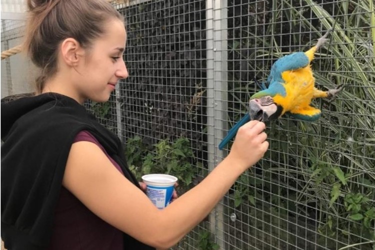 Nechte se probudit zvuky exotických zvířat, nakrmte velké šelmy. Táborská zoo nabízí nezapomenutelné zážitky