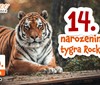 Maskot táborské zoo tygr Rocky v sobotu oslaví 14. narozeniny. Buďte u toho!