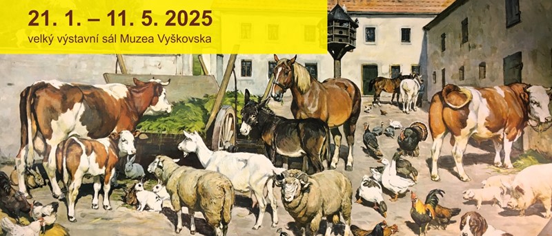 Hrátky se zvířátky