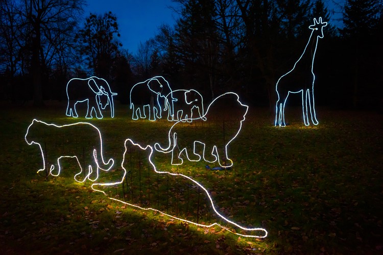 Zoo Zlín během vánočního období přilákala rekordní počet návštěvníků