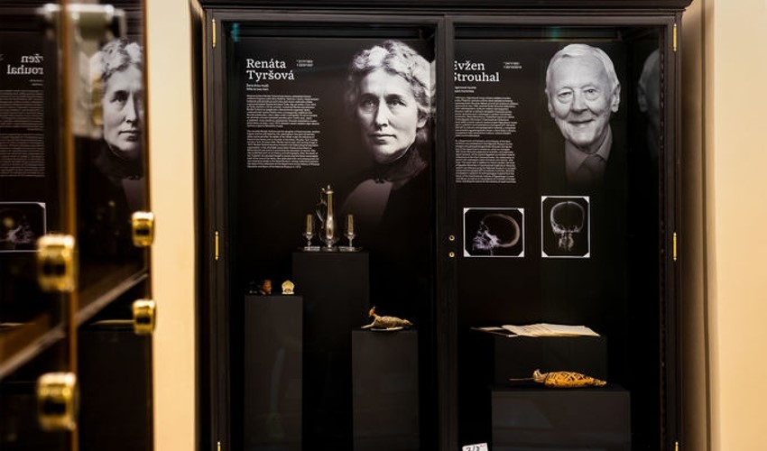 Muzeum od sklepa po půdu