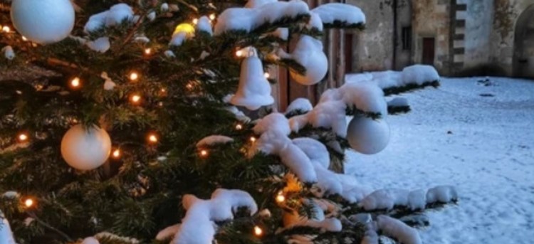 Advent na zámku Benešov nad Ploučnicí
