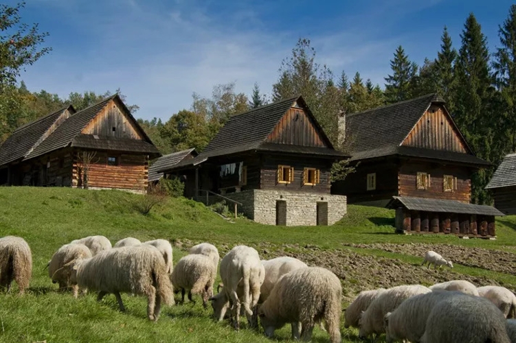 Velký redyk