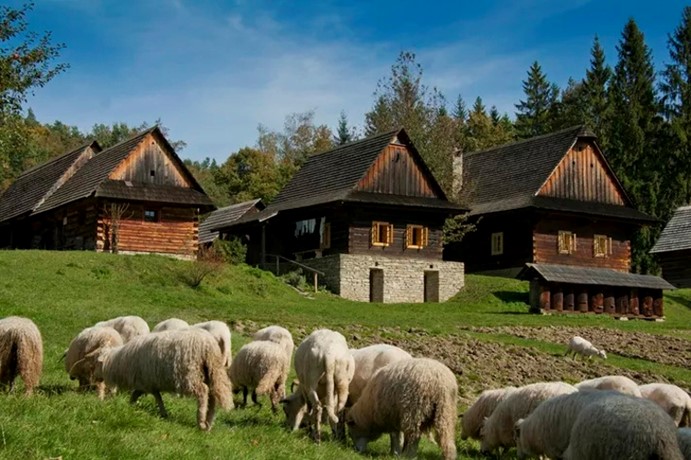 Velký redyk
